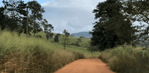1602398764233453.gif 路途上.GIF